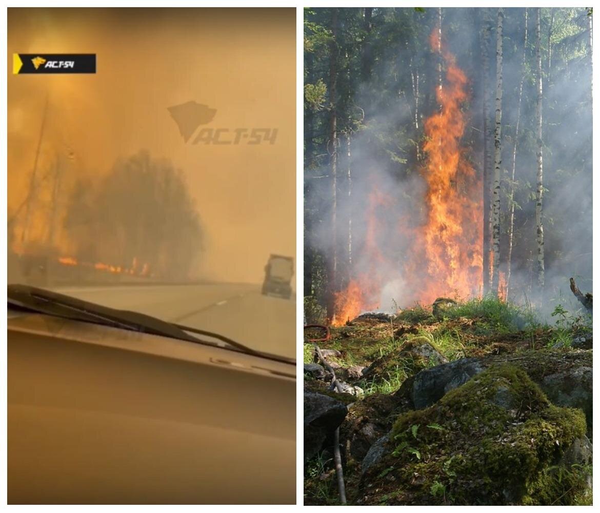 Лес сиб. Пожар в лесу. Горят леса. Горит лес в областях. Лесные пожары в Новосибирской области.
