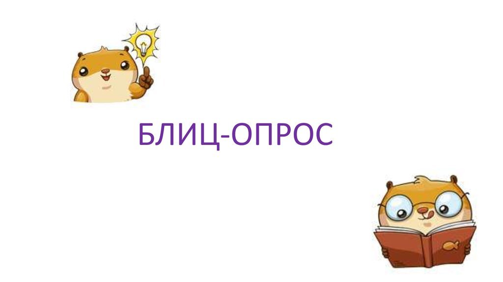 из сети интернет