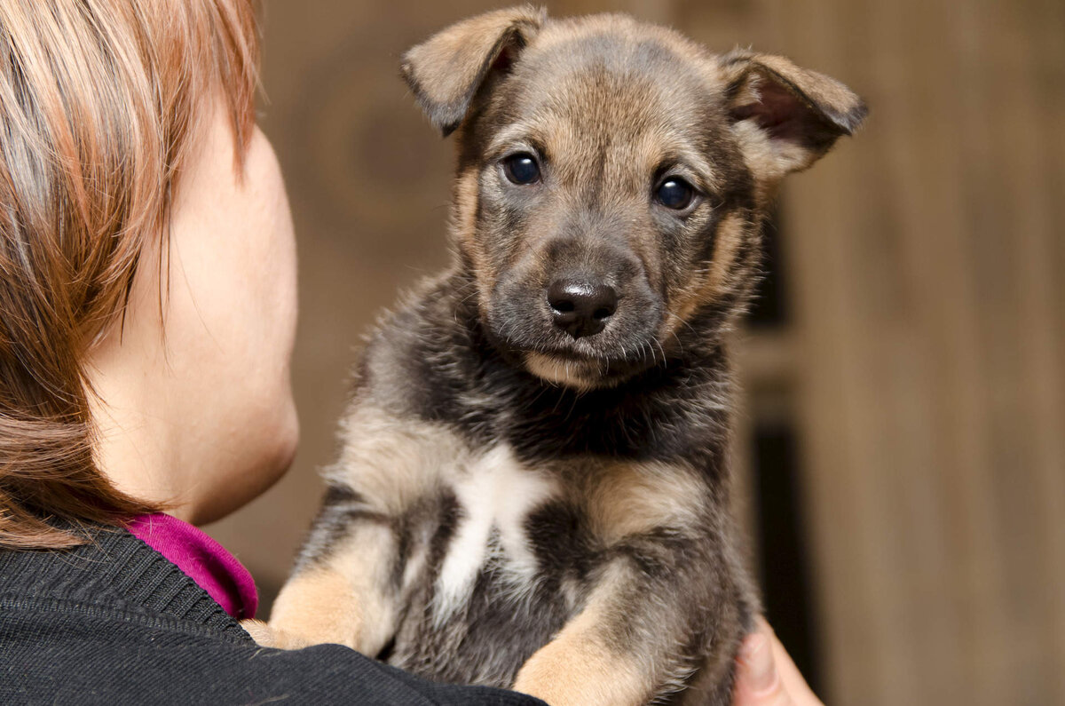 Фото из свободного доступа сети Интернет