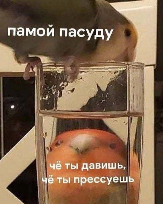 Повторим пройденное: две чистюли в паре - гуд, две неряхи - вери гуд. Чистюлька и поросёночек - ни в коем случае! 