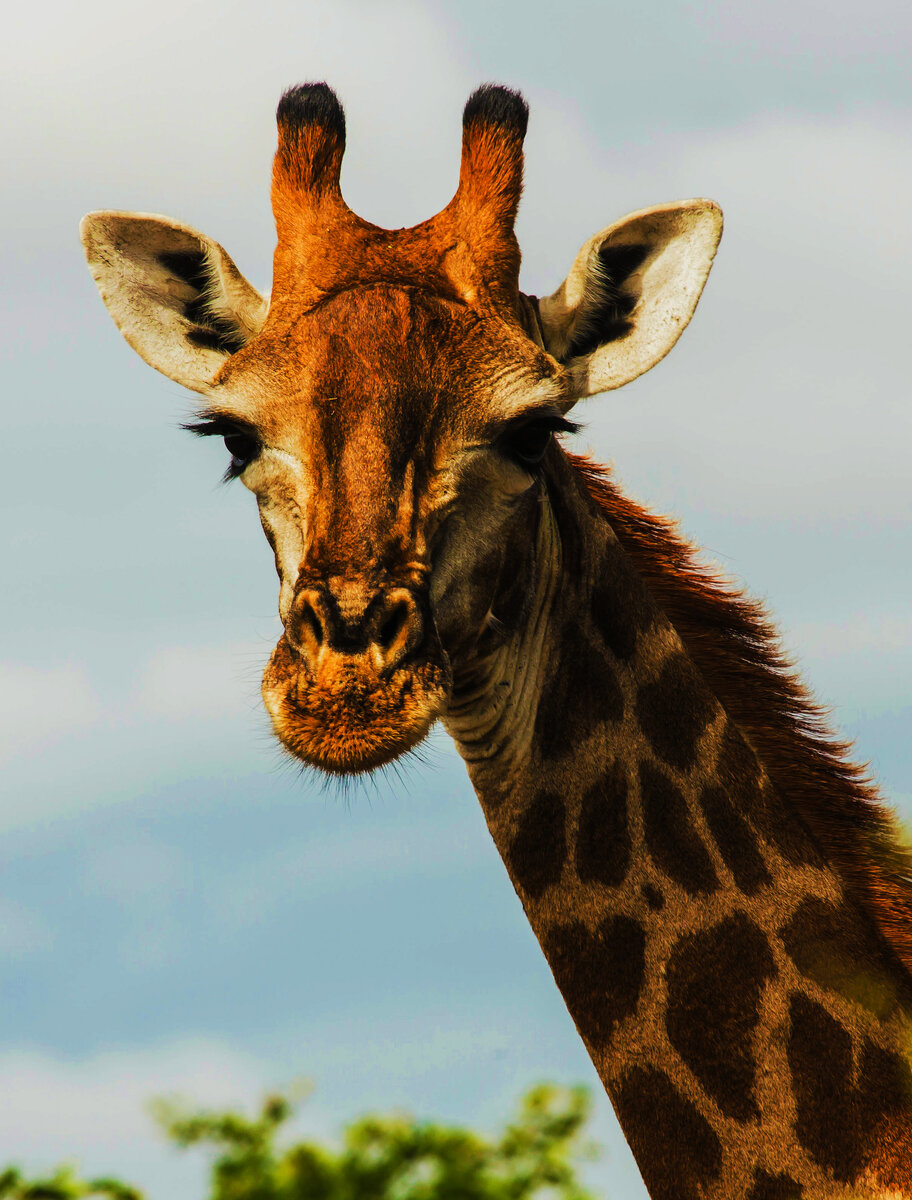 Источник фото Unsplash