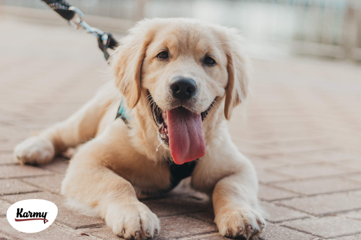 Авторское изображение с использованием картинки с фотостока "Unsplash"