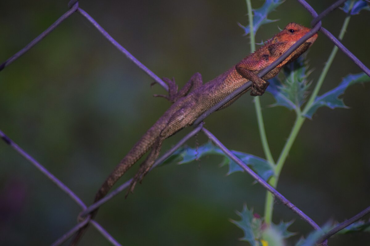 Картинка с бесплатного фотостока https://unsplash.com, автор Foysal Razu