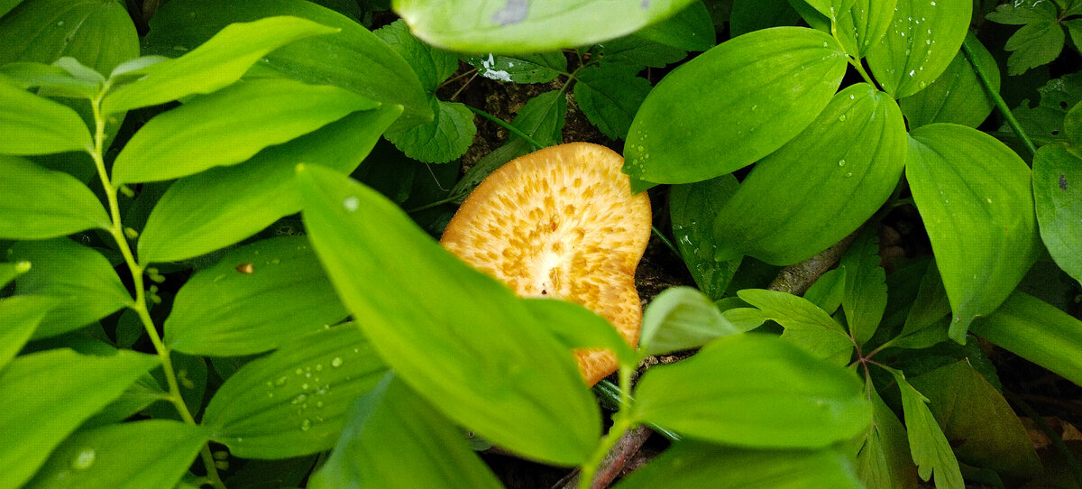 Фото автора канала