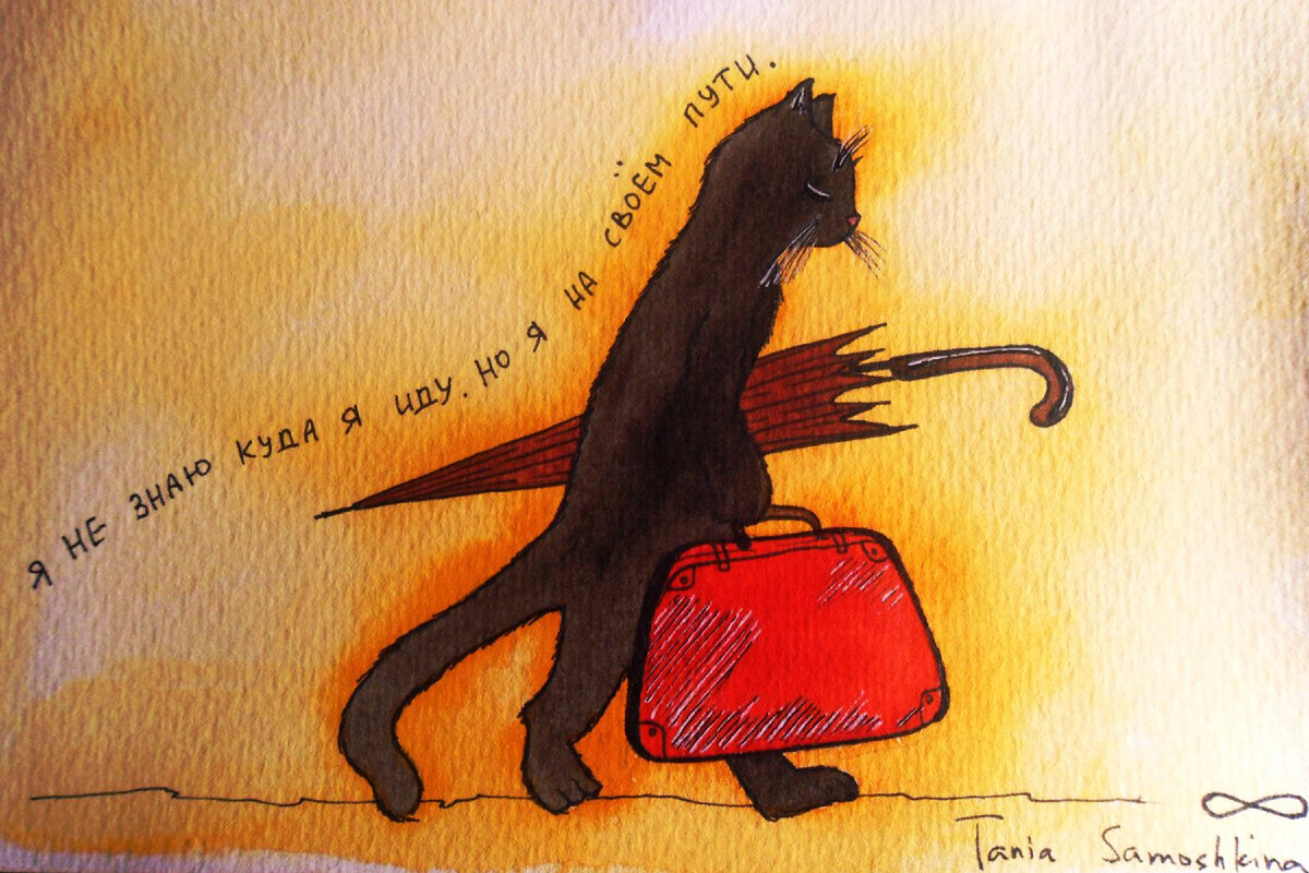 Кот с чемоданами в руках