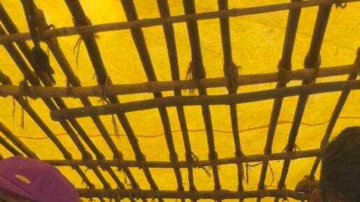 Жизнь в Индии Гарик и Лулу | Индийская уличная еда. Лапша Магги по ...