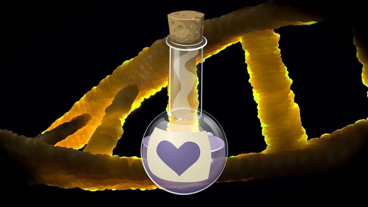 Почему матку не приняли