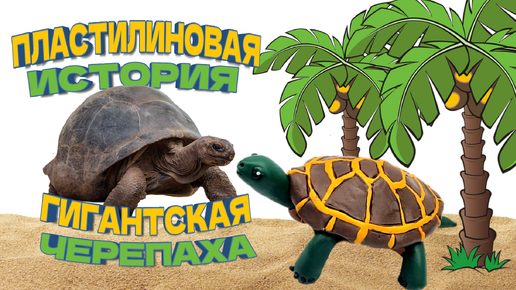 ✅️ КАК СЛЕПИТЬ ЧЕРЕПАХУ ИЗ ПЛАСТИЛИНА. 🐢 ЛЕПИМ ЧЕРЕПАХУ ИЗ ПЛАСТИЛИНА. ПЛАСТИЛИНОВАЯ ИСТОРИЯ. #bamba