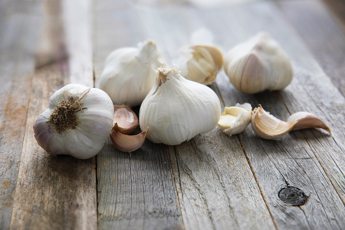 В обычной жизни соусы со специей готовились отдельно: кто захочет, тот и добавит к основному блюду. Хотя русский бутерброд — «корка хлеба, натёртая салом и чесноком», — берёт своё начало именно с Древней Руси.