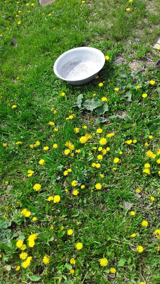 Ой, тазик забыла!