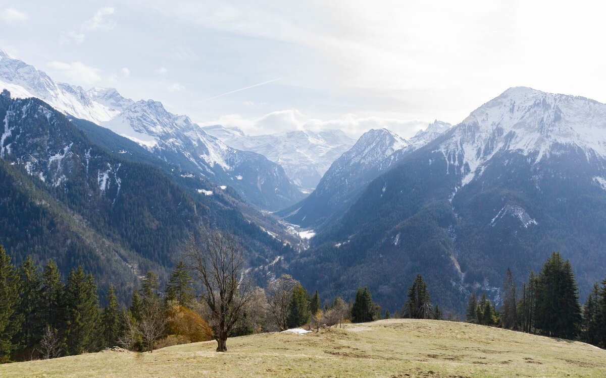 Картинка с бесплатного фотостока https://unsplash.com, автор Geike Verniers