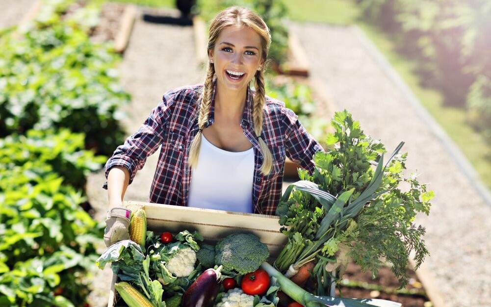 Изображение взято из открытых источников