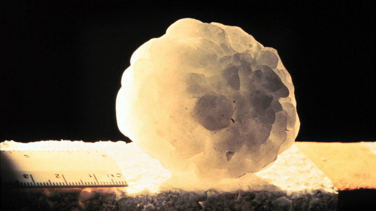     В Ставропольском крае объявили штормовое предупреждение из-за града и ливня, сорвали сроки сноса домов и стала известна причина вспышки кори, все самое интересное в материале NewsTracker.