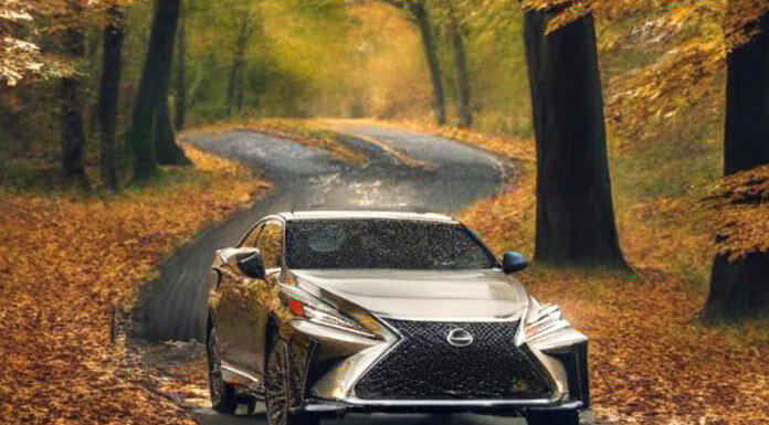    Фото предоставлены автором