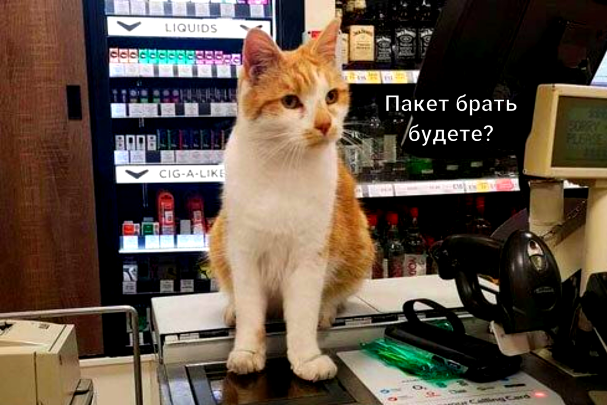 ���� � �� ���������. ��������: tver.aif.ru