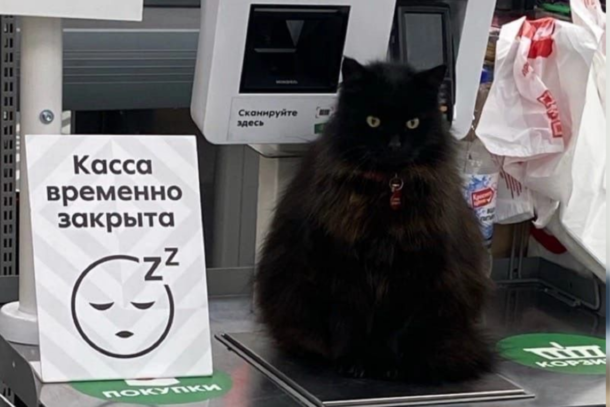 ���� � �� ���������. ��������: krasivosti.pro