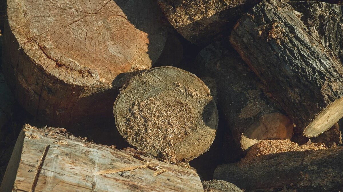     Суд взыскал с компании и подрядчика крупный ущерб. О ходе разбирательств рассказали в пресс-службе судов РК.