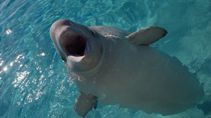 ФОТО: SERGUEI FOMINE/RUSSIAN LOOK