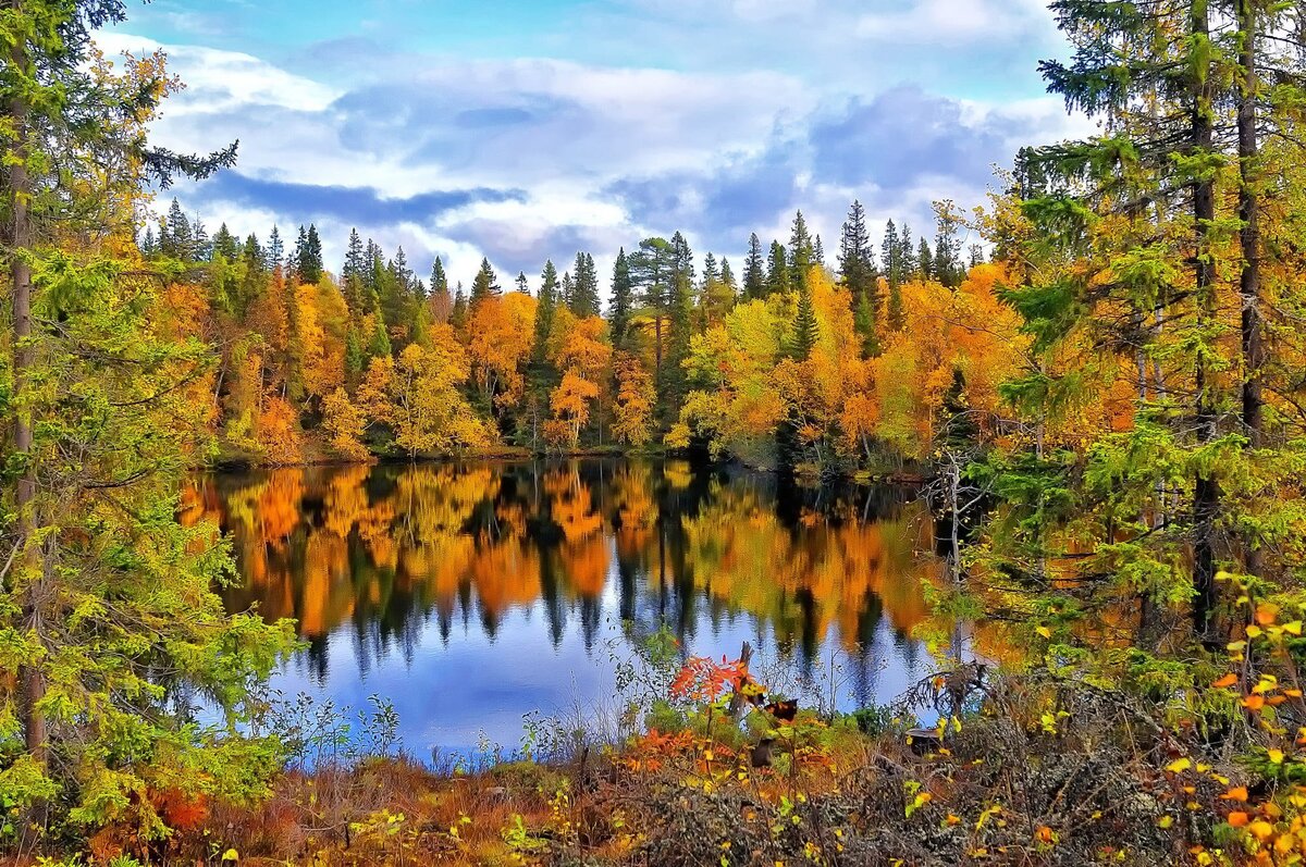 фото из интернета