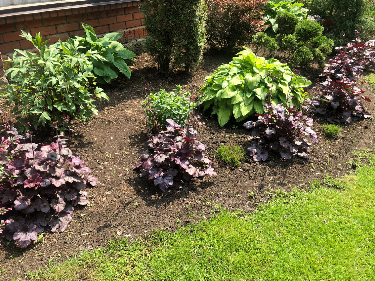 Личное фото