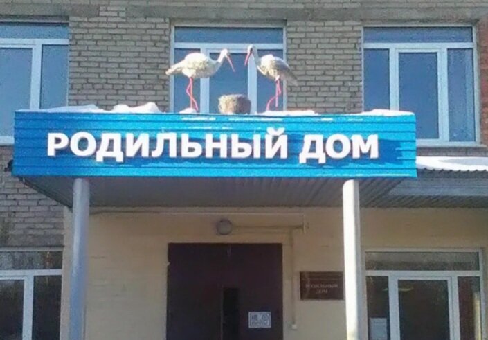 Из открытого доступа