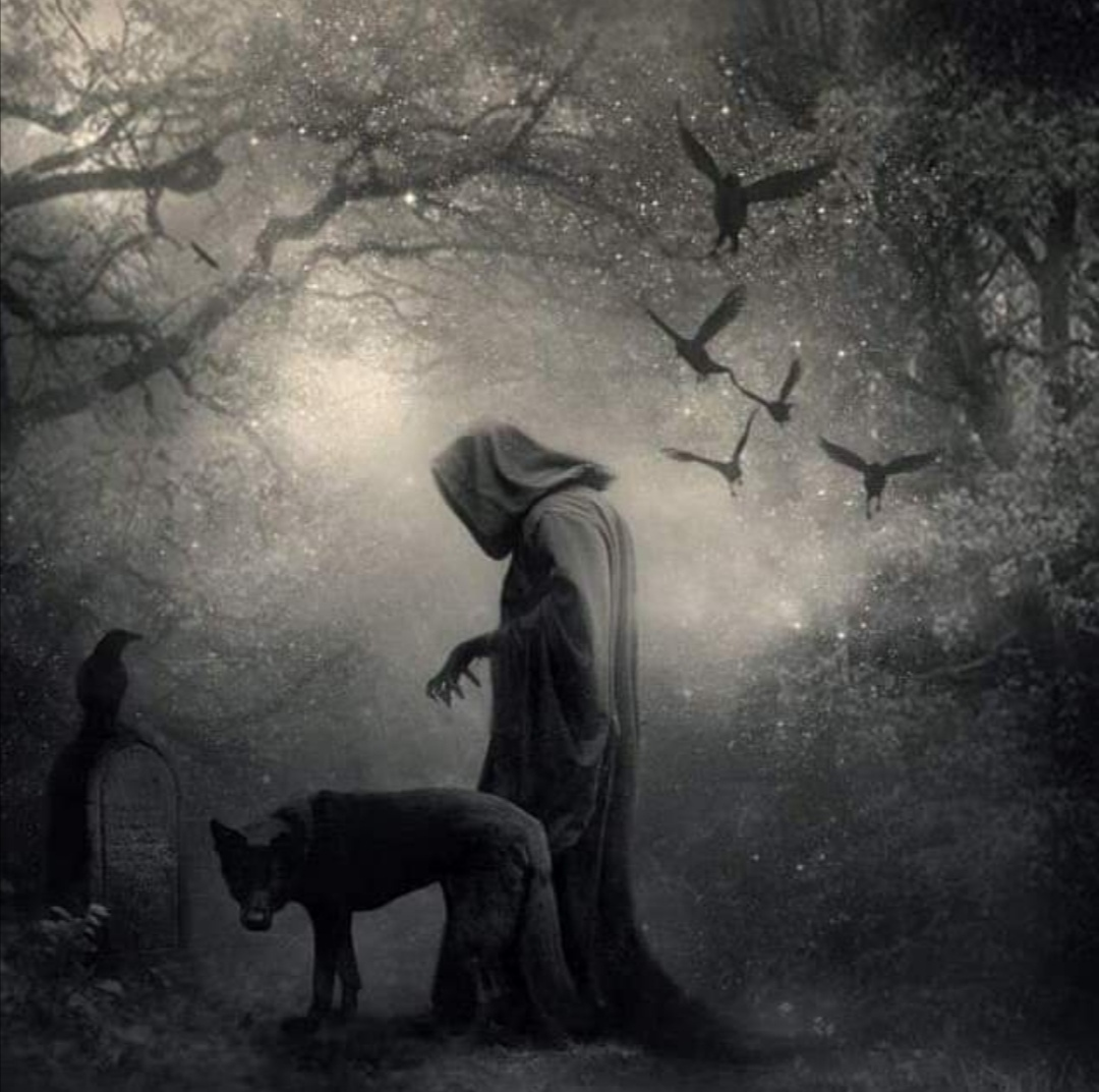 яндекс картинки