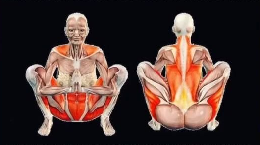 Malasana