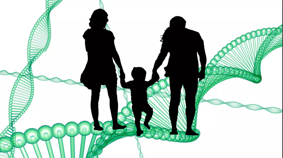 Генетика картинка для презентации