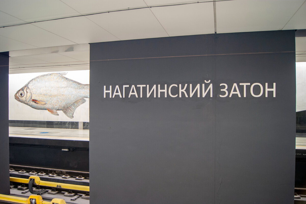 Станция метро "Нагатинский Затон" (БКЛ).