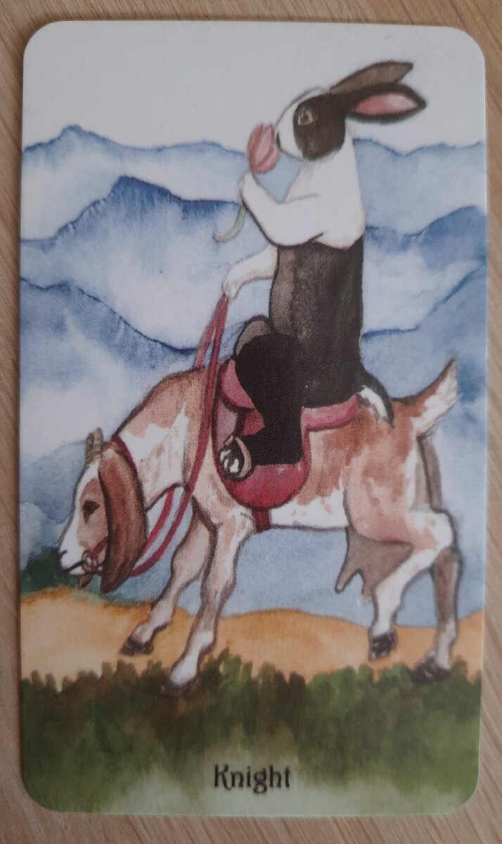 фото ЕлВита