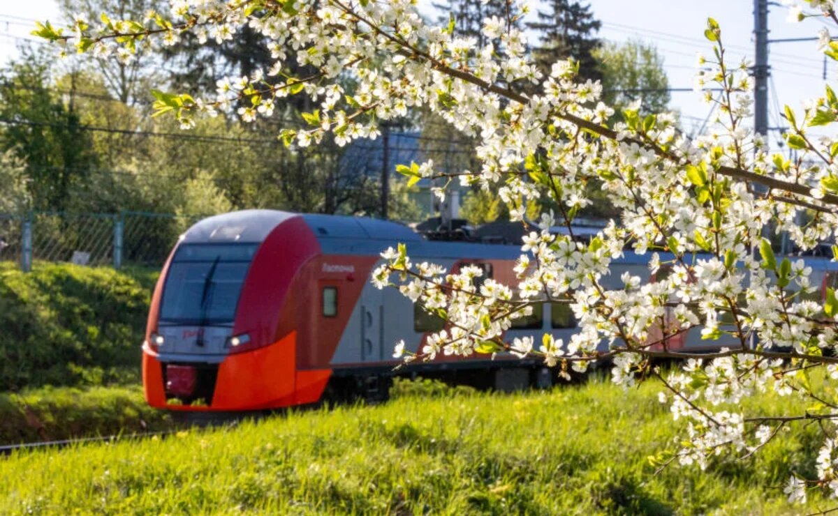    Из Сочи в Абхазию стартуют «Ласточки». Как они будут ходить и сколько стоят билеты