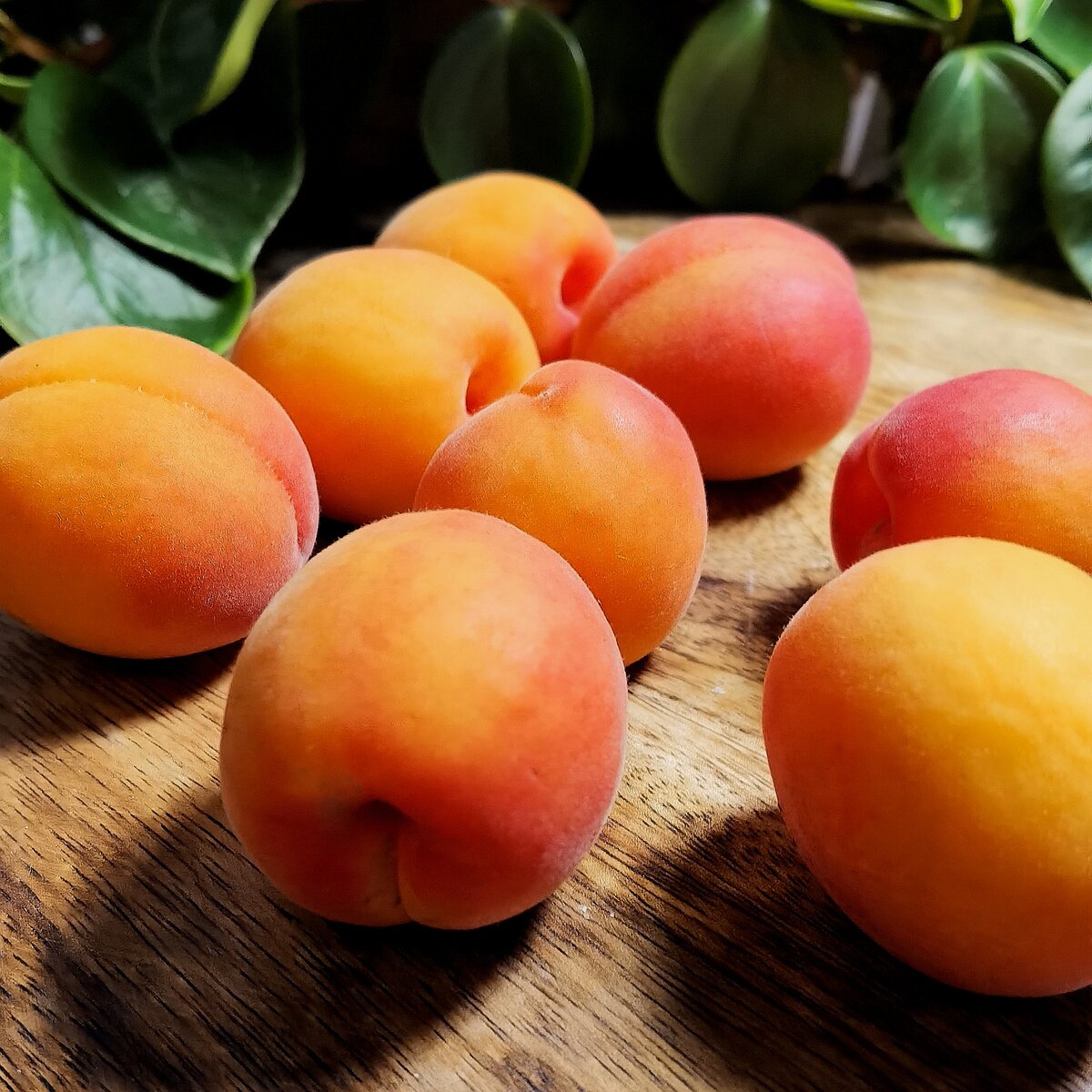 Чудесные на вид. Фото автора