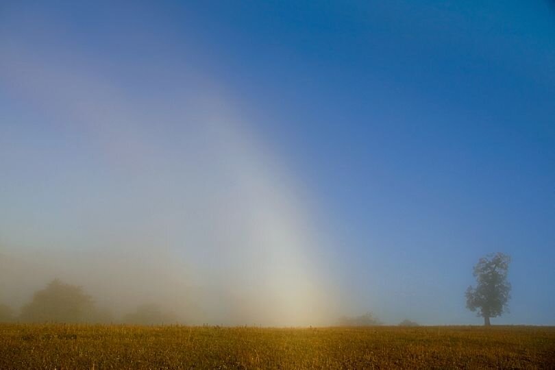 Фото: Рамиль Кильмаматов. 