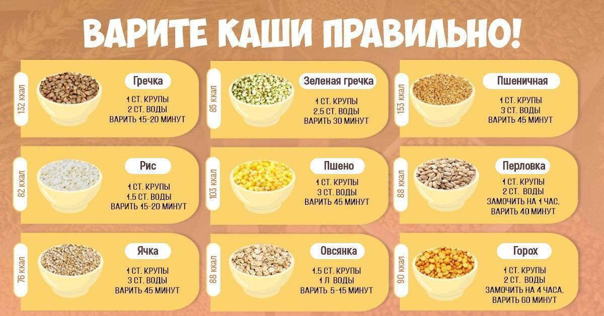 Сколько есть каши. Кукурузная каша пропорции молока и крупы. Пропорции при варке каш таблица. Шпаргалка по кашам кукурузная. Соотношение воды и крупы для каши таблица.