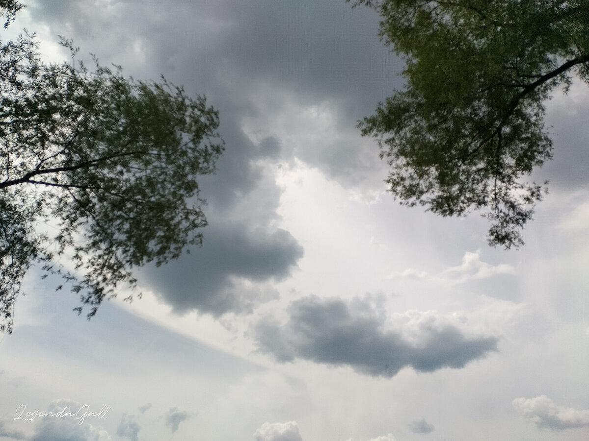 Над головой тучки черными кажутся