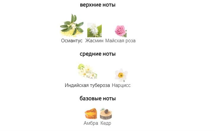 fragrantica.ru