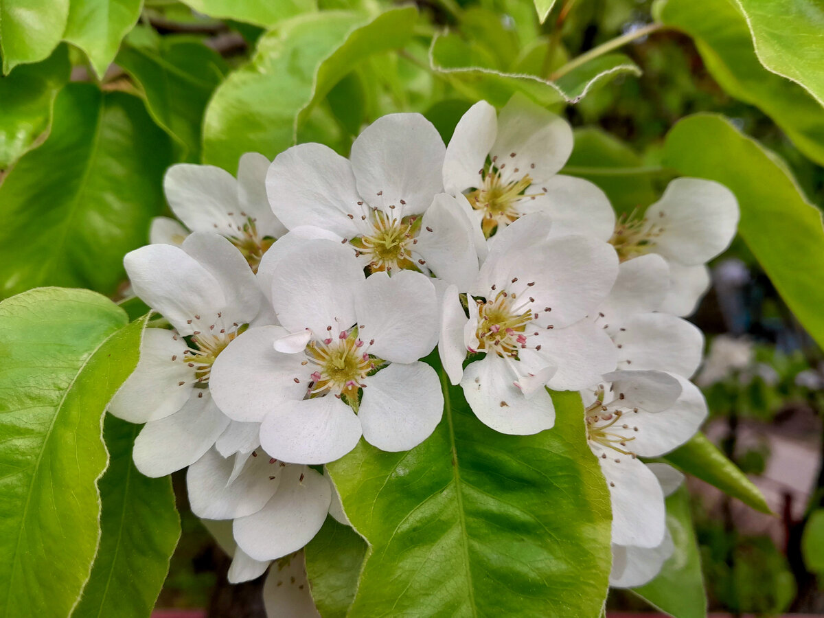 фотография автора.