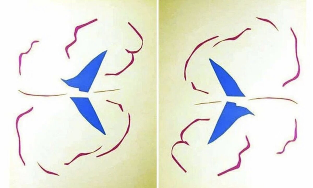 «Лодка» Анри Матисс. Источник - ya.ru.