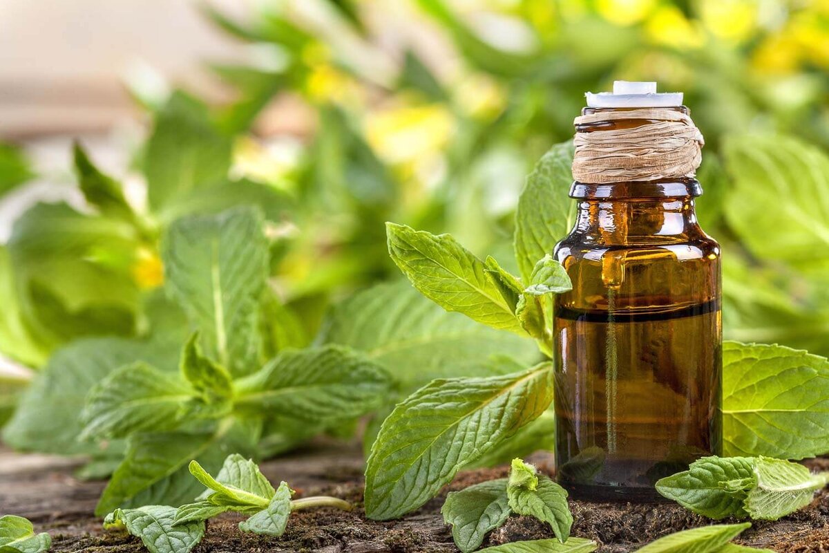 Эфирное масло Peppermint Oil (Перечная мята)