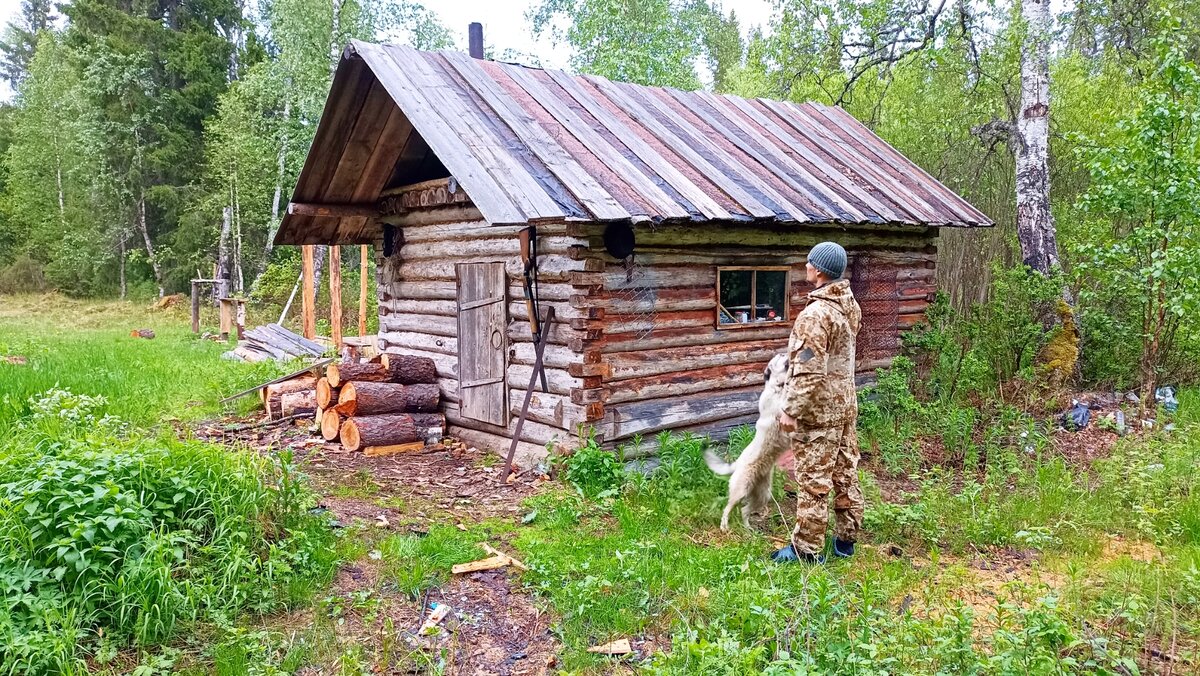  избушку залез медведь через окно и всё перевернул вверх дном. Открыл флягу с продуктами, сорвал полку и разбросал всё по полу. Сожрал что мог и вернулся восвояси. 