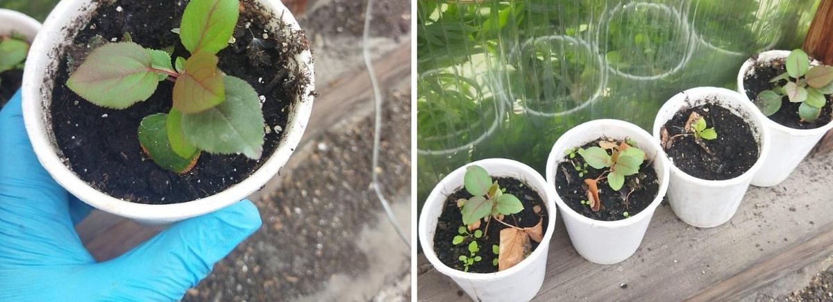 Фото: Ксения Макарова