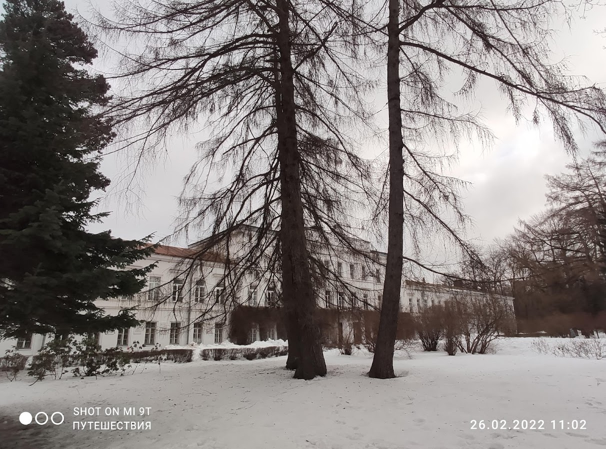 Лесотехническая академия. Фото автора