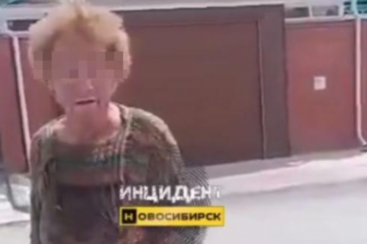    В Новосибирске пожилая женщина в нетрезвом состоянии нападает на детей