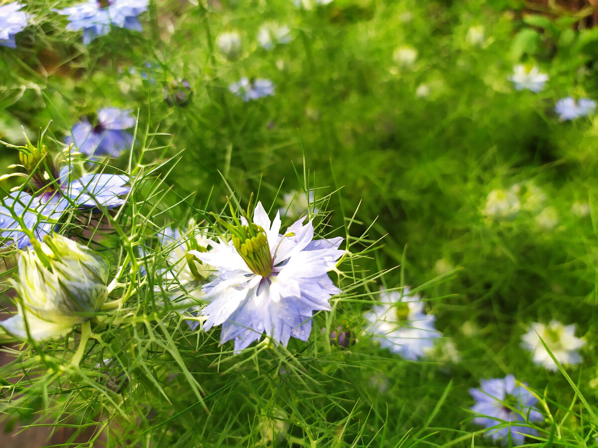 Фото из личного архива