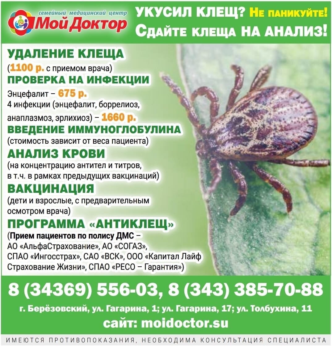 Вакцинация от клещевого энцефалита