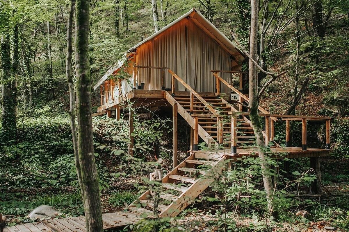 Глэмпинг Лес в Краснодарском крае /Naturalist.travel 