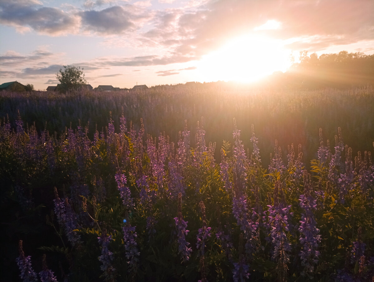 Под Пермью. 