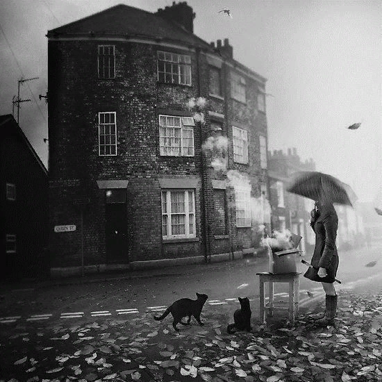 �������� - ������ ��������