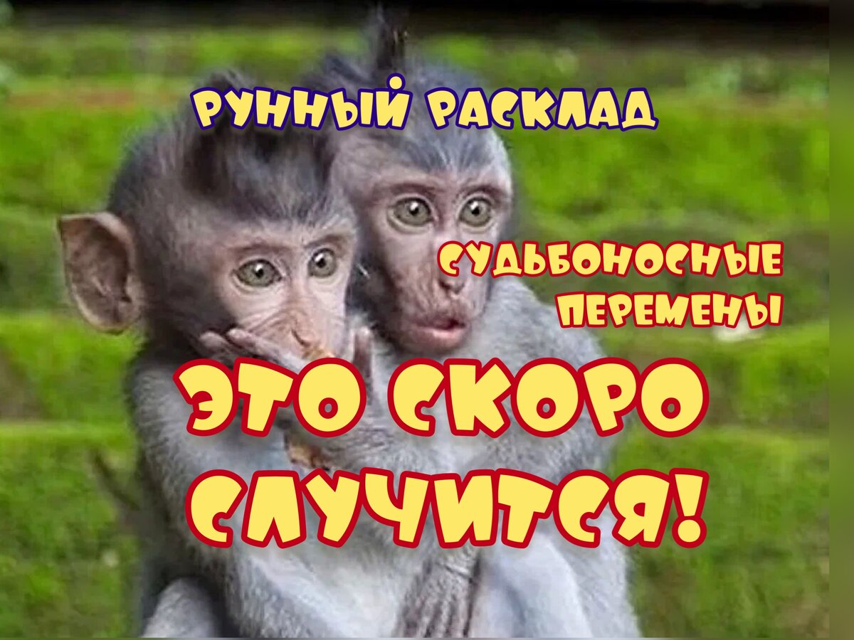 Перемены 