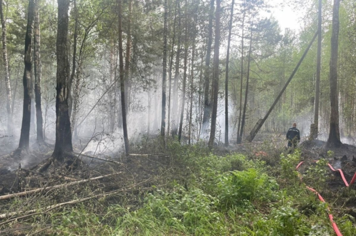    На Среднем Урале потушены девять природных пожаров